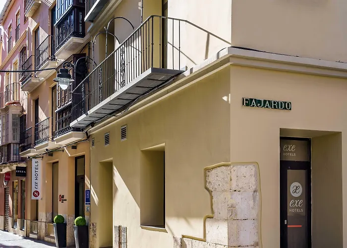 إكس مالاغا موسيوس مالقة